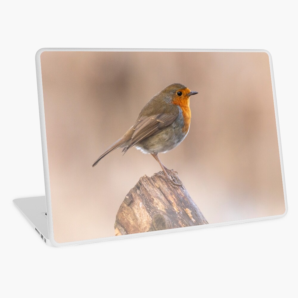 Item preview, Laptop Skin designed and sold by AYatesPhoto.