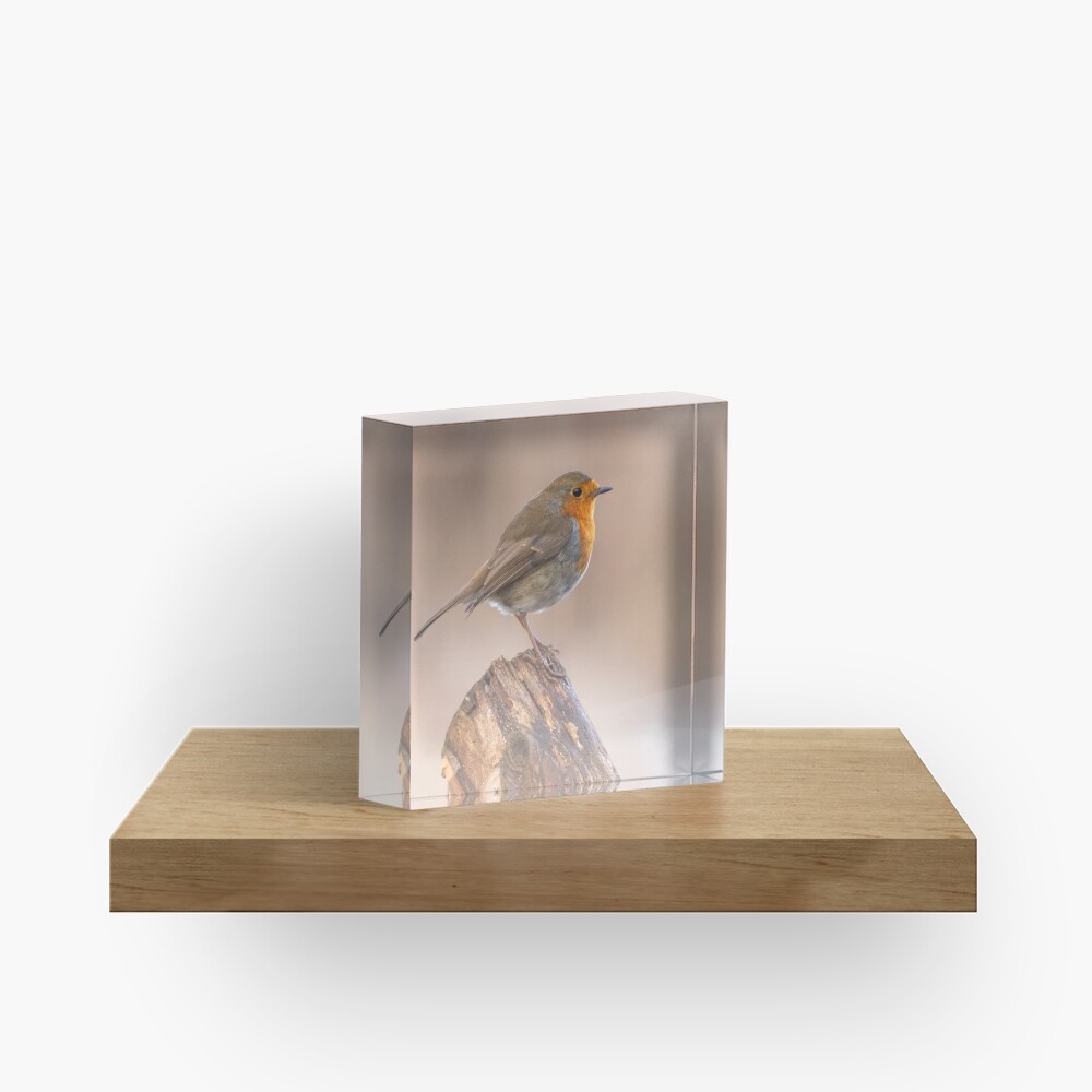 Item preview, Acrylic Block designed and sold by AYatesPhoto.