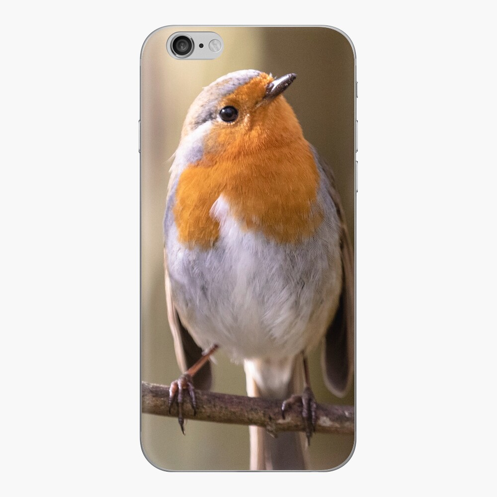 Item preview, iPhone Skin designed and sold by AYatesPhoto.