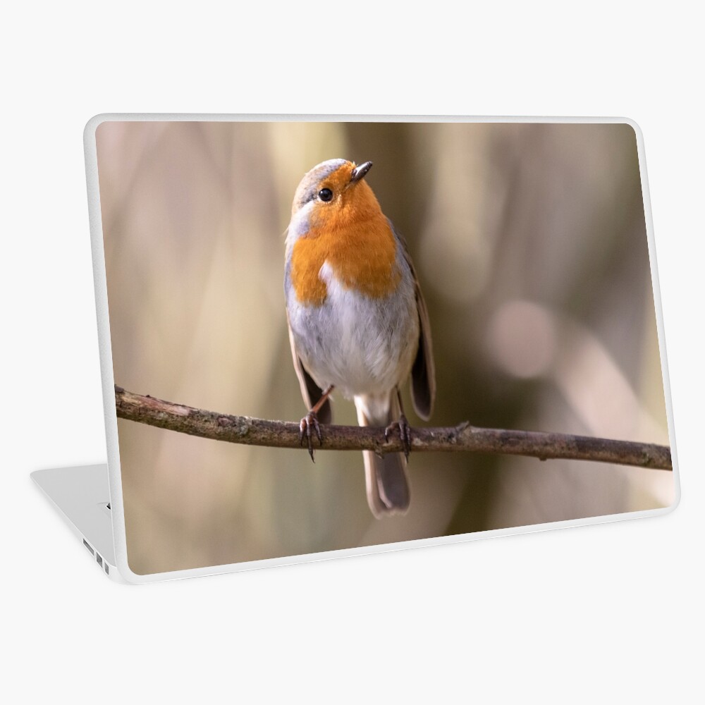 Item preview, Laptop Skin designed and sold by AYatesPhoto.