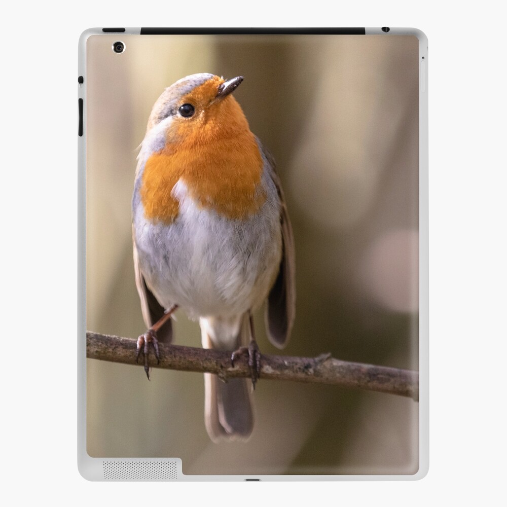 Item preview, iPad Skin designed and sold by AYatesPhoto.