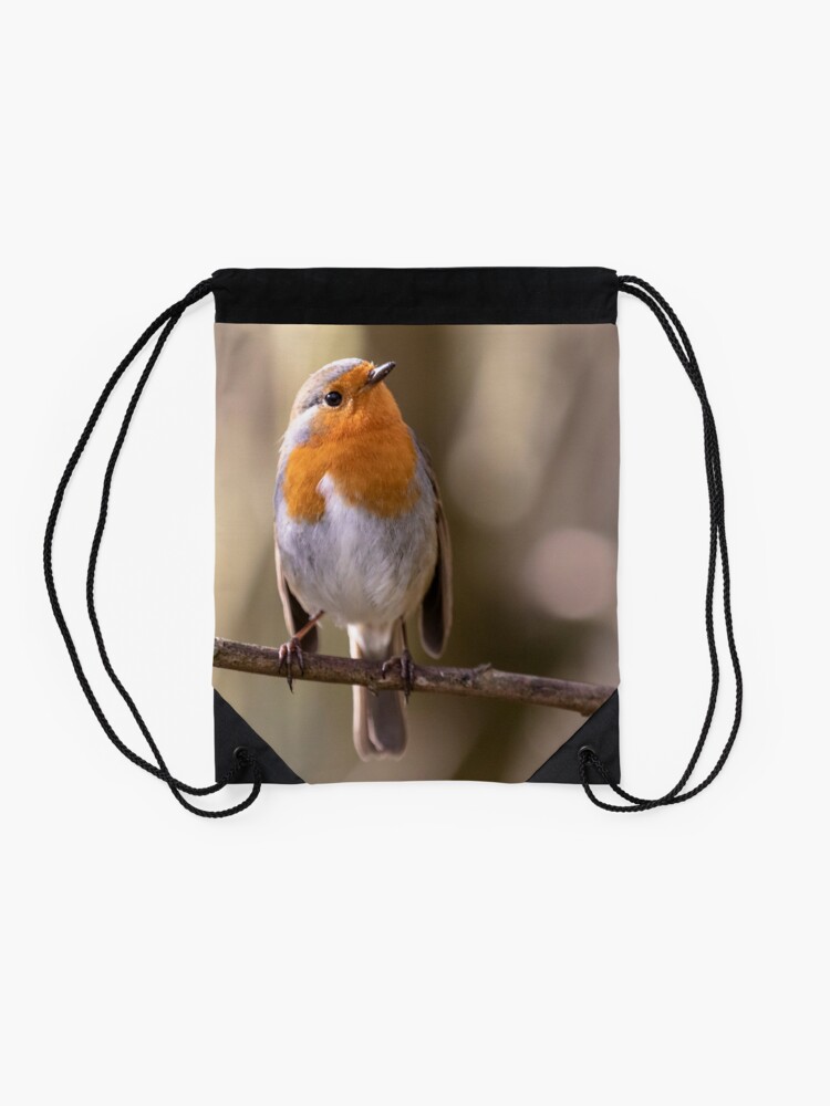 Thumbnail 2 of 3, Drawstring Bag, Robin gaze designed and sold by AYatesPhoto.