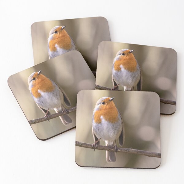 Item preview, Robin gaze designed and sold by AYatesPhoto.