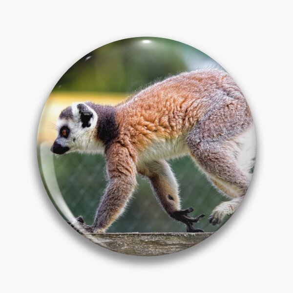 Item preview, Ring-tailed lemur (Lemur catta)  designed and sold by Andy Harker.