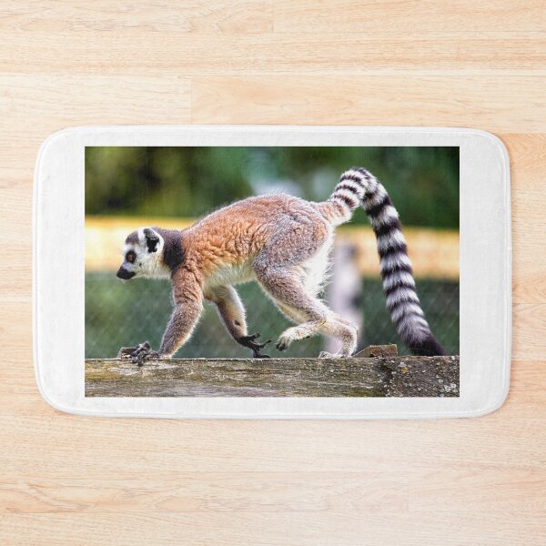 Item preview, Ring-tailed lemur (Lemur catta)  designed and sold by Andy Harker.