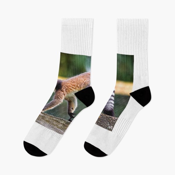 Item preview, Ring-tailed lemur (Lemur catta)  designed and sold by Andy Harker.