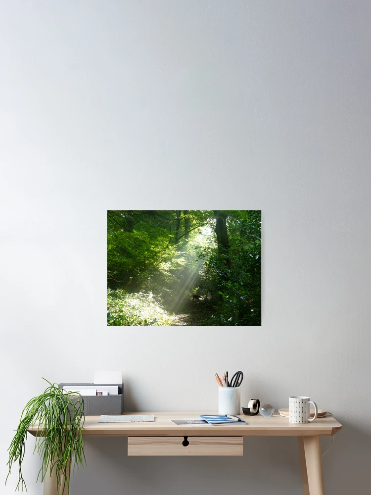 Thumbnail 2 of 3, Poster, Sun Rays designed and sold by suemac.