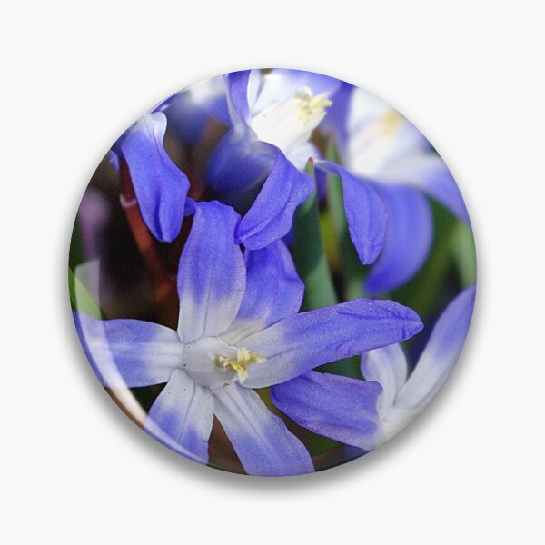 Item preview, Early Spring Blue - Chionodoxa designed and sold by rvjames.