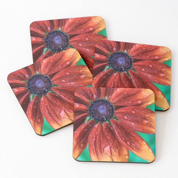Item preview,  Rudbeckia designed and sold by John Ray.
