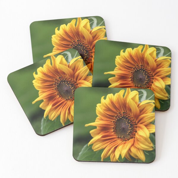 Item preview,  Helianthus designed and sold by John Ray.