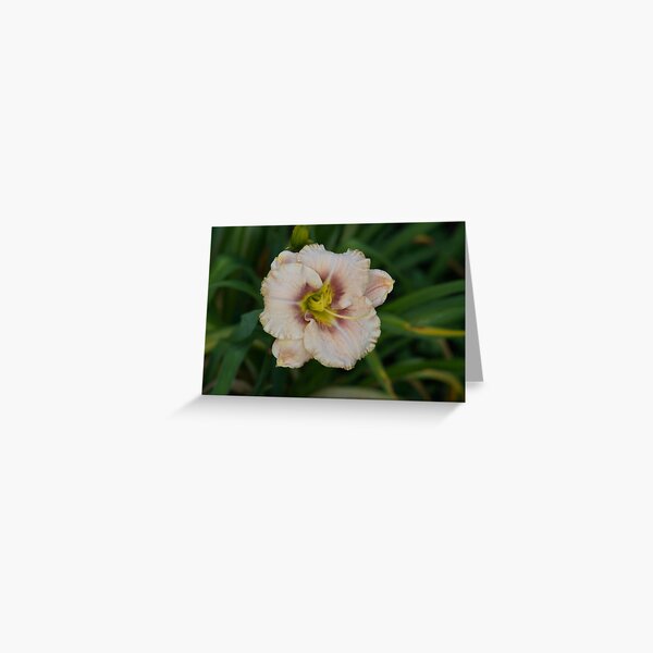 Susan Hipple J & K Pansing - 1997 Greeting Card