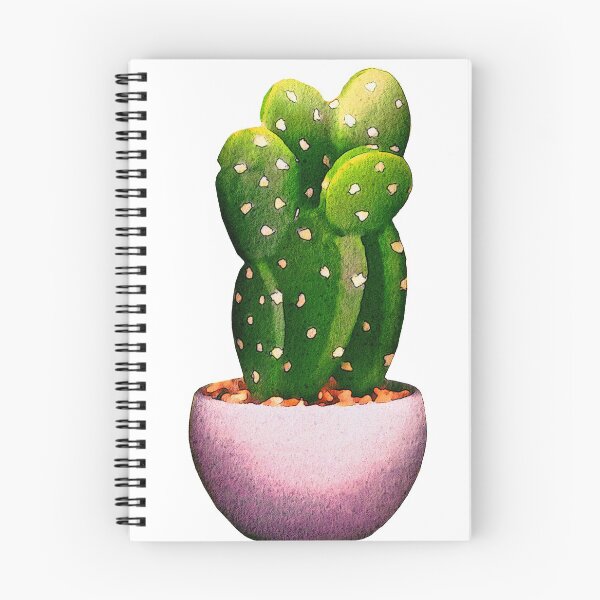 Item preview, Cacti in a pot designed and sold by Fruitsome.