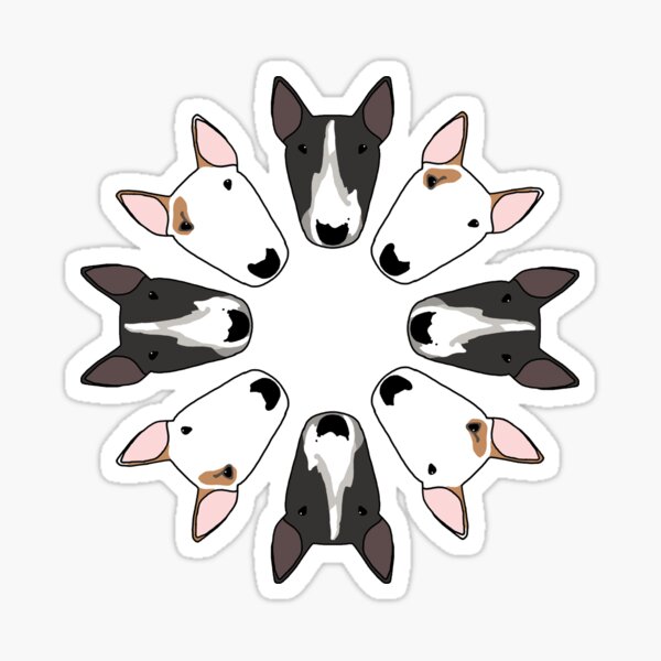 Paco Gator Circle Sticker