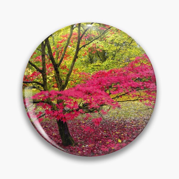 Item preview, Japanese Maple (Acer Palmatum)  designed and sold by Andy Harker.