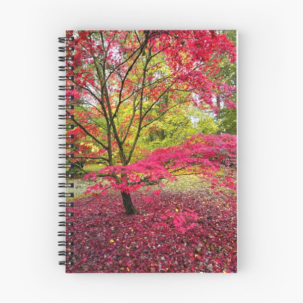 Item preview, Japanese Maple (Acer Palmatum)  designed and sold by Andy Harker.