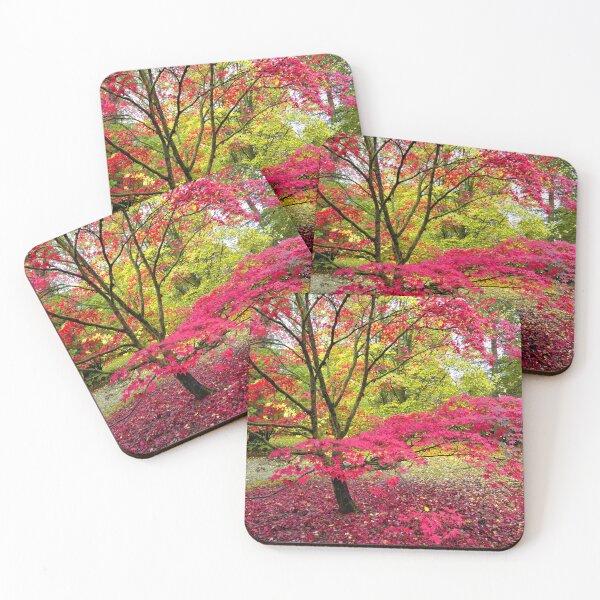 Item preview, Japanese Maple (Acer Palmatum)  designed and sold by Andy Harker.