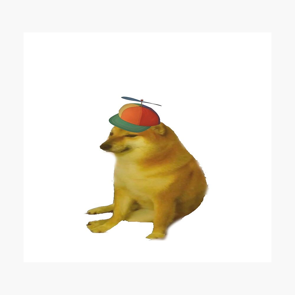 dog with propeller hat