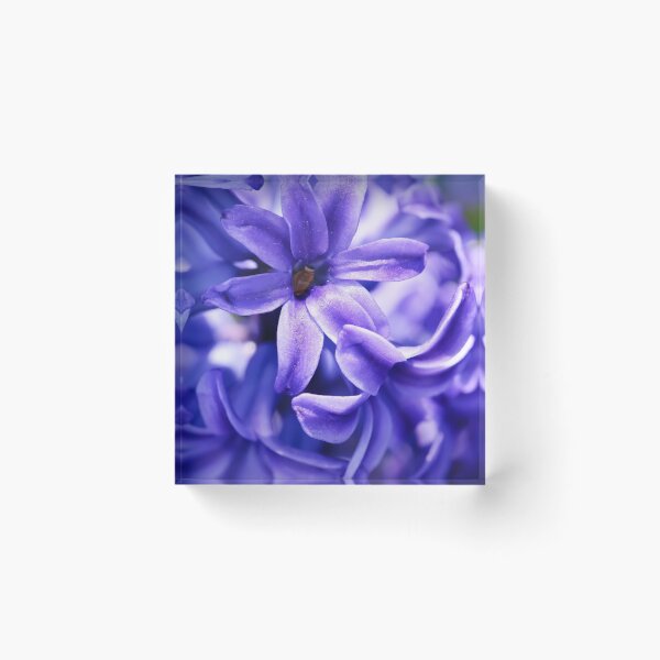 Item preview, Blue Desire designed and sold by Charles Dobbs Photography.