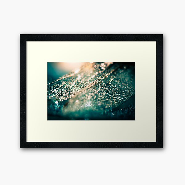 Sun on my Wings Framed Art Print