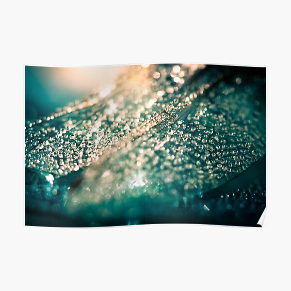 Sun on my Wings Poster