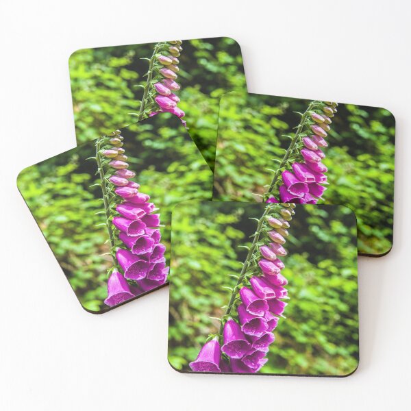 Item preview, Foxglove Flowers in a local wood in summer. They do grow exceedingly tall!  designed and sold by Cameranick.