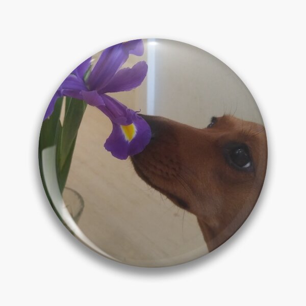 Item preview, Dachshund and blue iris designed and sold by TreacleDesigns.