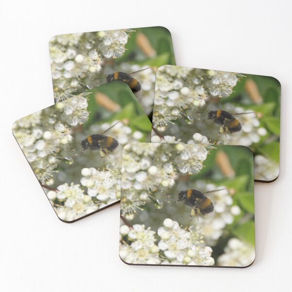 Item preview, Bumble Bee in flight  designed and sold by Jennifer Maggs.