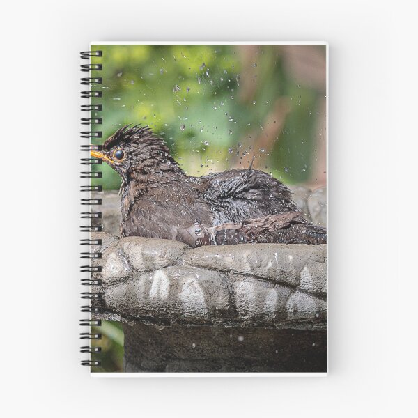 Item preview, Blackbird bathing designed and sold by Wendy Williams.