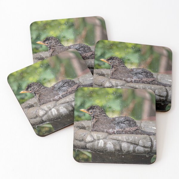 Item preview, Blackbird bathing designed and sold by Wendy Williams.