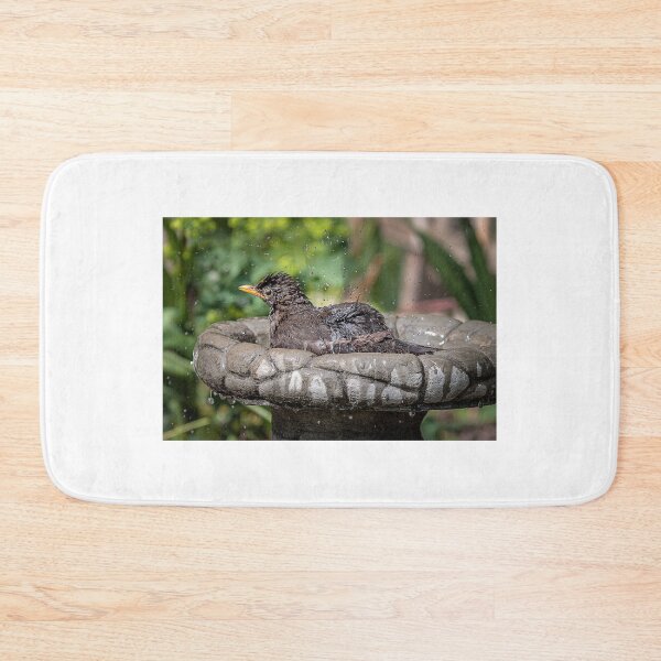 Item preview, Blackbird bathing designed and sold by Wendy Williams.