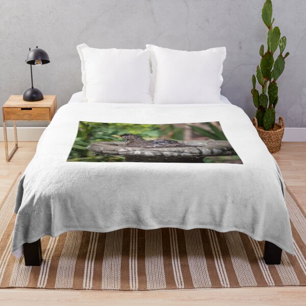 Item preview, Blackbird bathing designed and sold by Wendy Williams.
