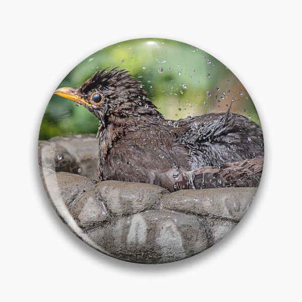 Item preview, Blackbird bathing designed and sold by Wendy Williams.