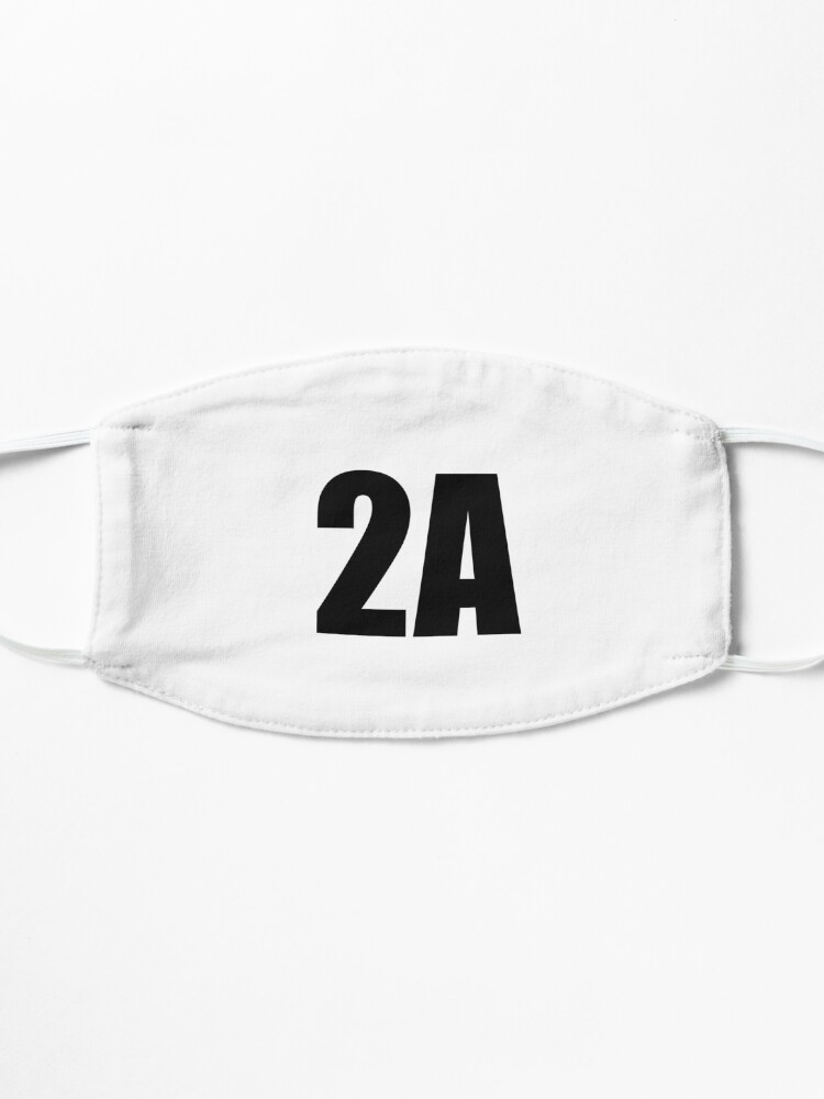 Alternate view of 2A Mask