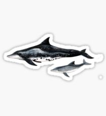 Rough toothed dolphin Sticker