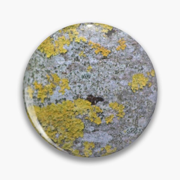 Item preview, Lichen on tree designed and sold by chihuahuashower.