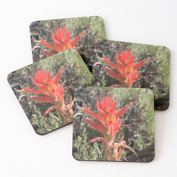 Item preview, Indian Paintbrush designed and sold by GraceSage.