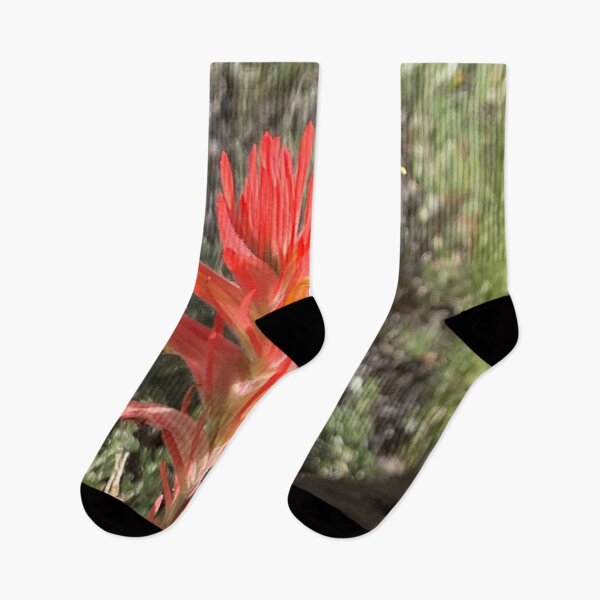 Item preview, Indian Paintbrush designed and sold by GraceSage.