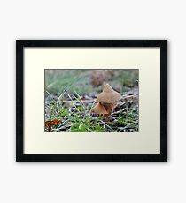 Thatch Cap . Framed Print