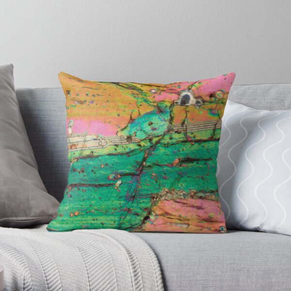 Thin store throw pillows