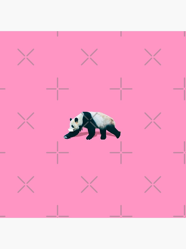 The Panda by KatyaHavok