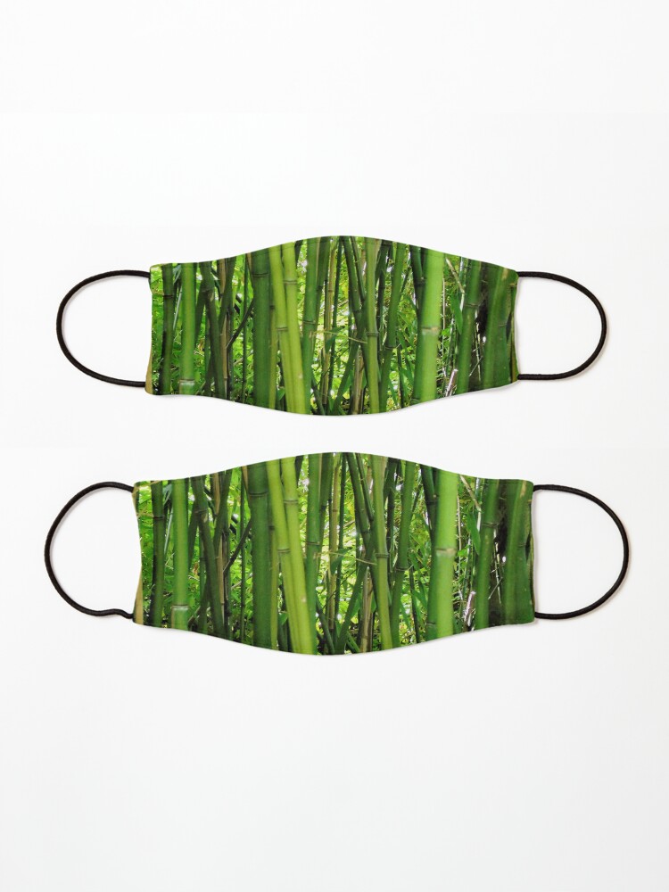Alternate view of Bamboo Mask