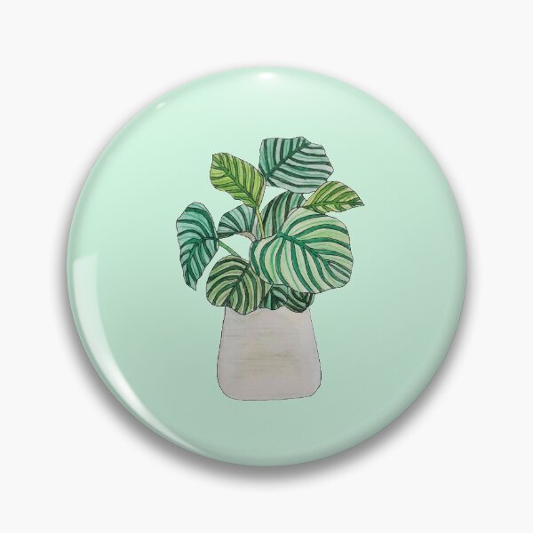 Item preview, Calathea orbifolia watercolour designed and sold by elliescribbles.