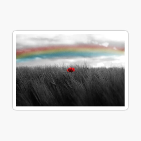 Over The Rainbow Sticker