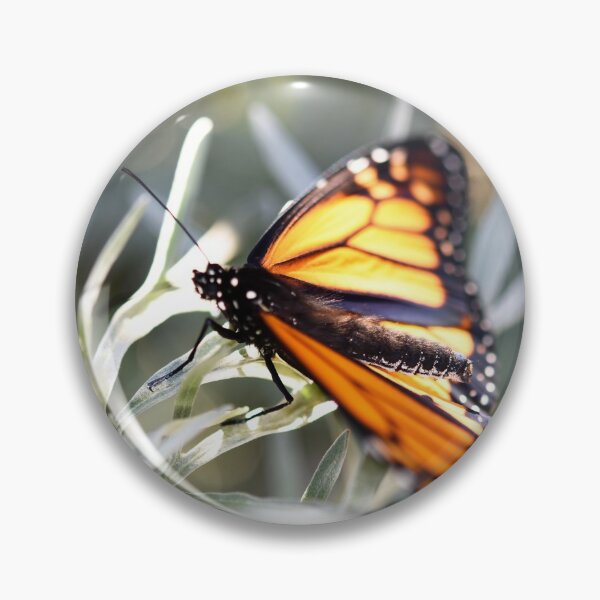 Item preview, Beautiful Monarch Butterfly in dappled sunlight designed and sold by imaginethis.