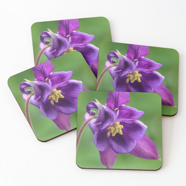 Item preview,  Purple Aquilegia designed and sold by John Ray.