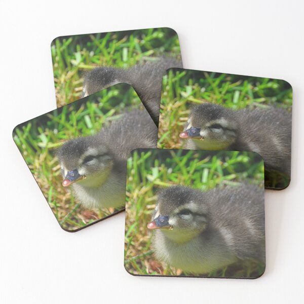 Item preview, Baby Wood Duck designed and sold by LisaWootenPhoto.