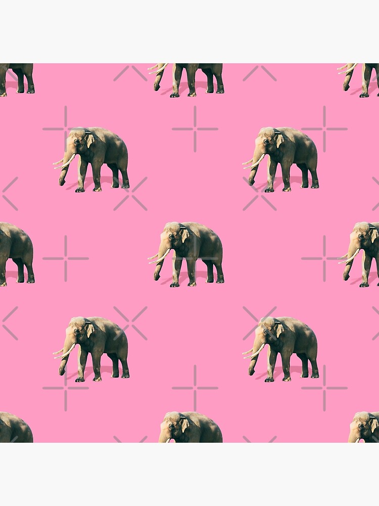 Elephants on pink by KatyaHavok