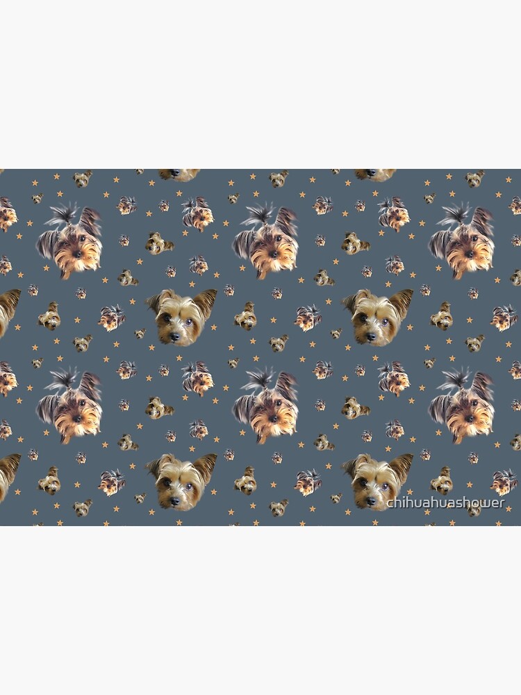 Yorkie stars by chihuahuashower