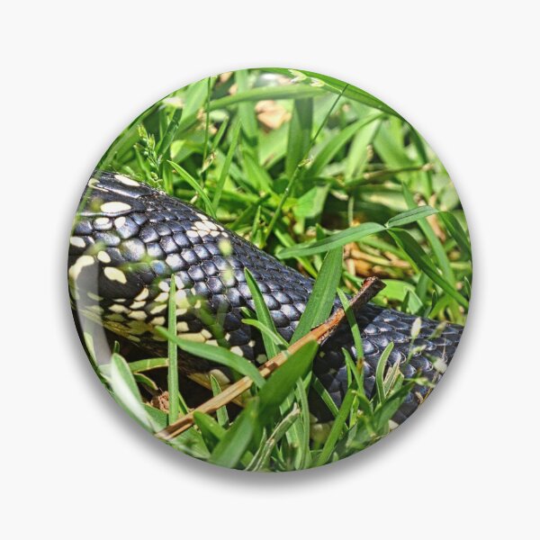 Item preview, Eastern King Snake designed and sold by LisaWootenPhoto.