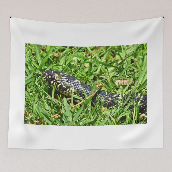 Item preview, Eastern King Snake designed and sold by LisaWootenPhoto.
